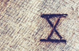 numbering